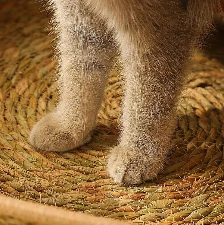All-season cat scratching board with straw-woven pet bed